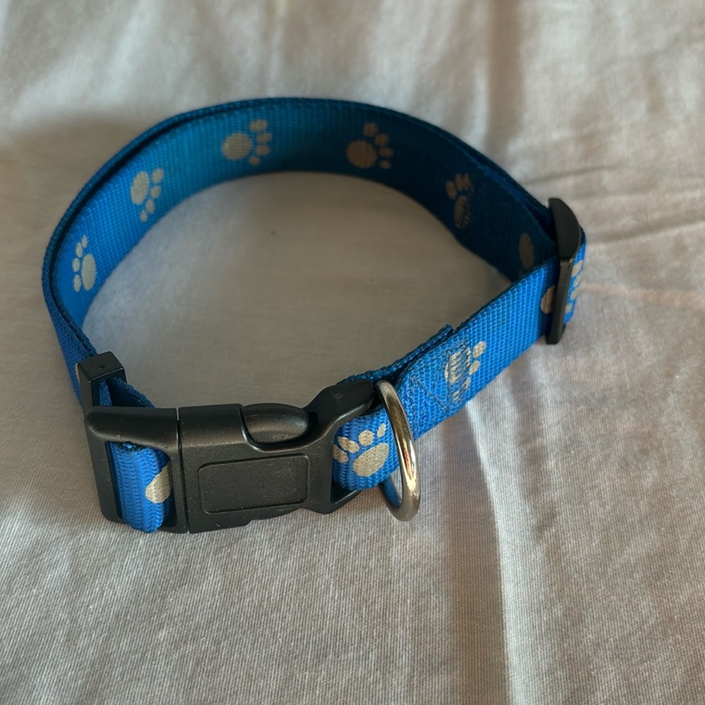 Adjustable small dog collar.